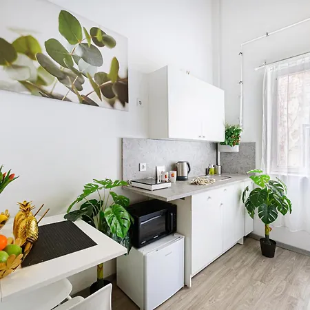 Apartmán Flora Downtown Budapešť